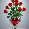 user4536800215876a
