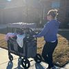 the_geriatric_mama