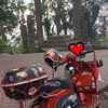 tawon3034