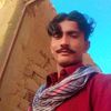 shahida8430