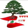 houda_moali
