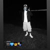flac0.13