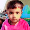 subhan42270