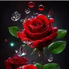 zohra4463