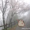 yandeliss.12