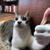 spamton_g_spamton02
