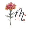 xavi_8778