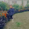 laila.shahyen
