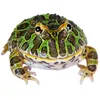ratherlargefrog