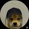 jason_short1