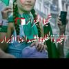 user8130434872651