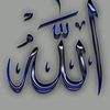 2237452900o..l
