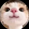 bapyy27