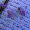 user1063351981323