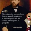rosenqhp79e