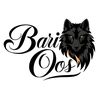 bari_oos