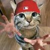 ferr_zy