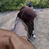 kenengbetta01