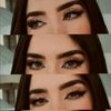 vane_31378