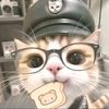 omiomlp_56