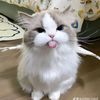 eaint.mhue.thwe