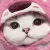 user8080720218183