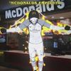 eldonpollo2