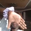 itss.bothakga