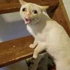 力を求める