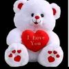 user8431112004677