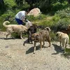rescuelottery