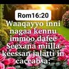 user90660081698587