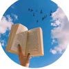 novelzadiii53