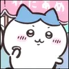 shawn_dt._