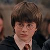 harrypotter15365
