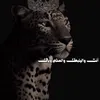 user19734517561918
