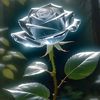 khan @