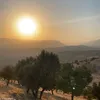farida.mohammed25