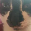 mazinboiiiii4