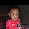 apta_maul