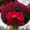 m.latif8291