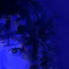salamandra_love2006