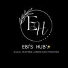 ebis.hub