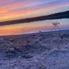 karpiowy_amatorek7