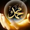 habibi8628