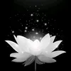 _ngho.anh08