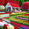 mrnadeem844