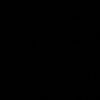 d_s339