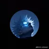 congtuhophan17