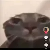 thomasmonk1